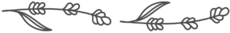 Flower-divider-6-1.png